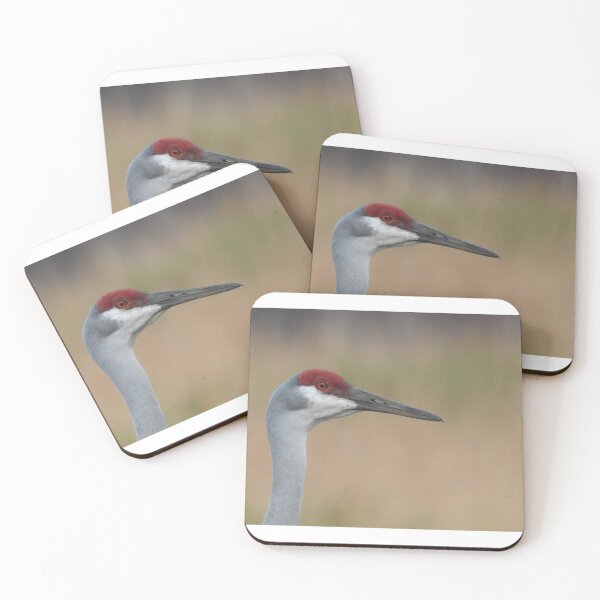 Item preview, Mississippi Sandhill Crane designed and sold by Coley Optera.