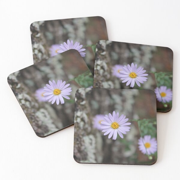Item preview, Late Purple Aster Wildflower on Rustic Lichen Bark designed and sold by Blossom-Breeze.