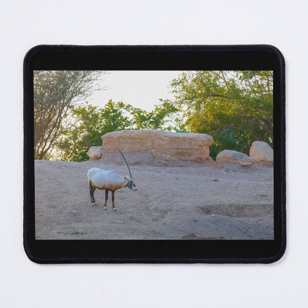 Item preview, Majestic Arabian Oryx - Desert Wildlife Heritage Photography designed and sold by AbulailArt.