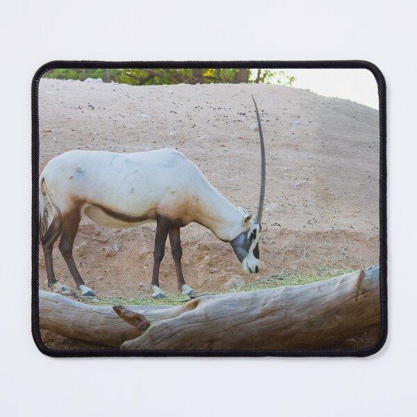 Item preview, Majestic Arabian Oryx Profile - Desert Wildlife & Heritage Portrait designed and sold by AbulailArt.