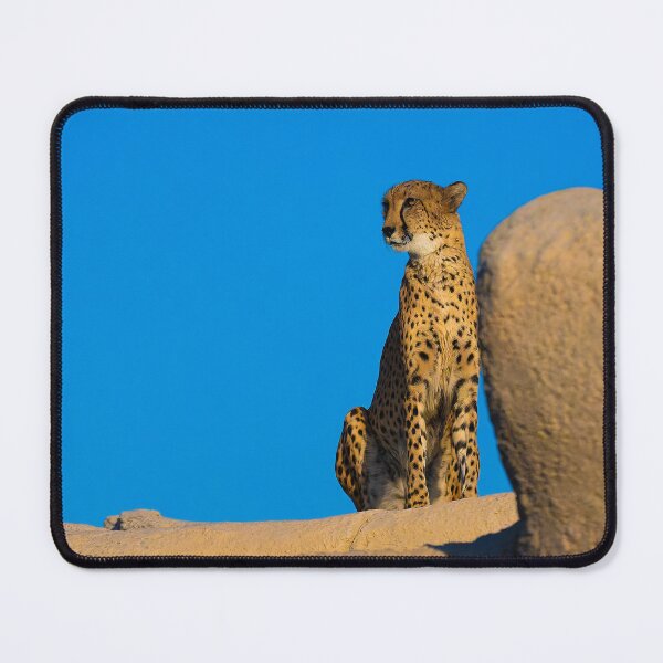 Item preview, Majestic Cheetah on Lookout - African Wildlife Blue Sky Photography designed and sold by AbulailArt.