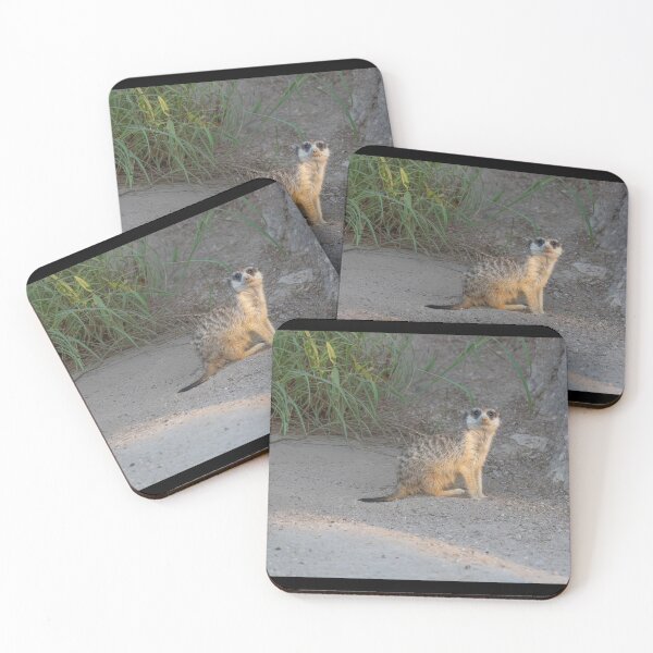 Item preview, Curious Meerkat Lookout - Desert Wildlife Photography designed and sold by AbulailArt.