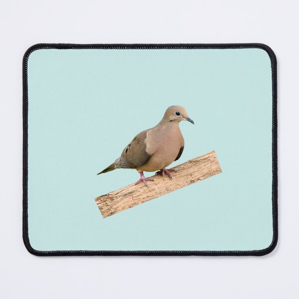 Item preview, Mourning dove on a tree designed and sold by KRFNatureGifts.