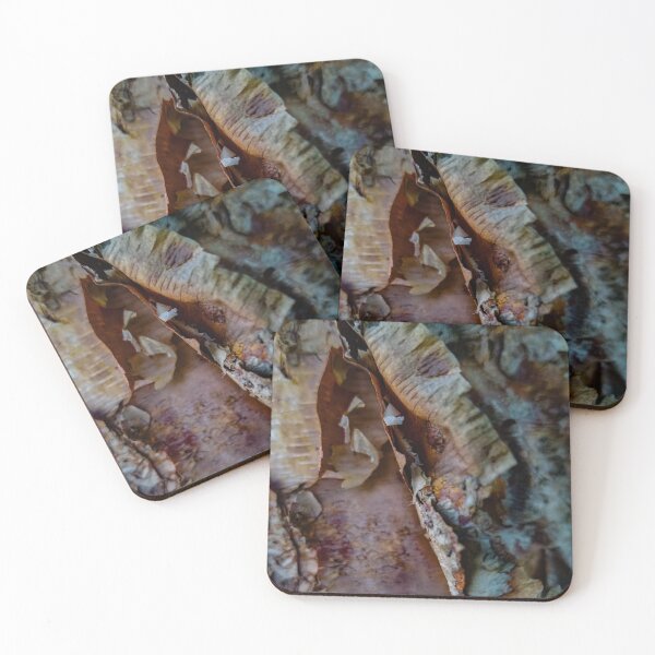 Item preview, Peeling bark designed and sold by OddLilFox.