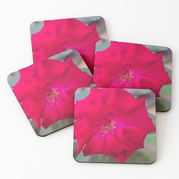 Item preview, Floribunda Rose designed and sold by ROSE ANN BANILAR.
