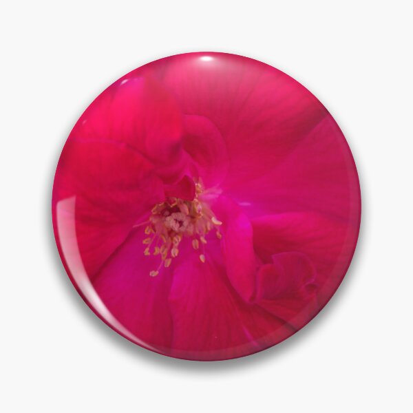 Item preview, Floribunda Rose designed and sold by ROSE ANN BANILAR.