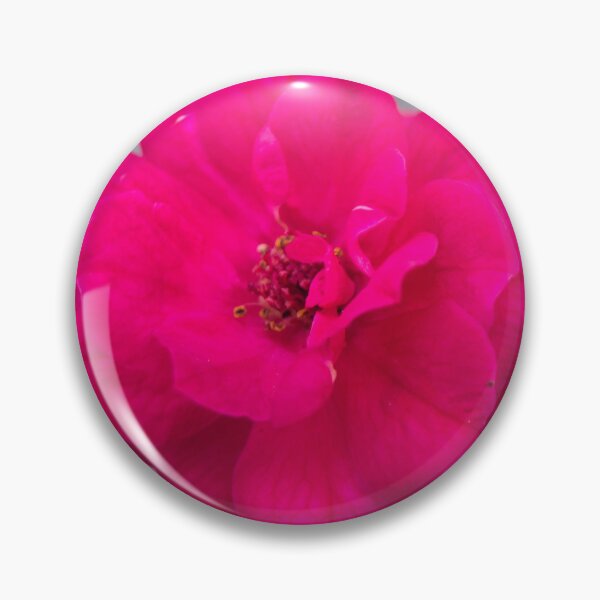 Item preview, China rose designed and sold by ROSE ANN BANILAR.