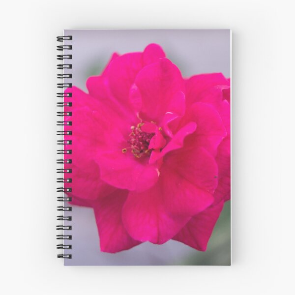 Item preview, China rose designed and sold by ROSE ANN BANILAR.