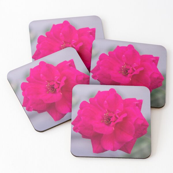 Item preview, China rose designed and sold by ROSE ANN BANILAR.