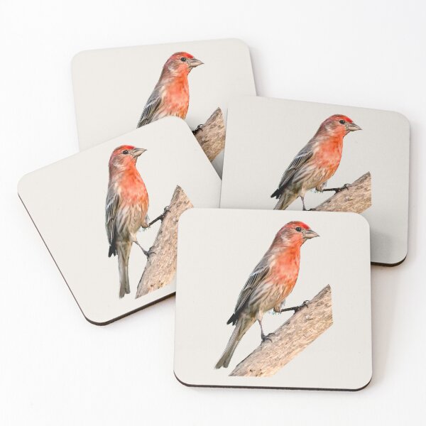 Item preview, Male house finch perched designed and sold by KRFNatureGifts.