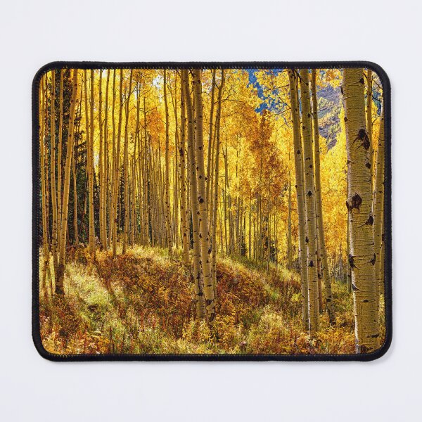 Item preview, Autumn Aspens Colorado designed and sold by Rocky Mountain Artistry.