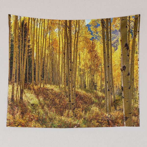 Item preview, Autumn Aspens Colorado designed and sold by Rocky Mountain Artistry.