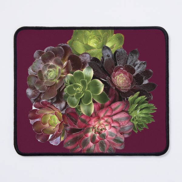 Item preview, Succulent Sticker. Decorative Plant Arrangement Sticker for Laptop & Notebook designed and sold by Poplartree.