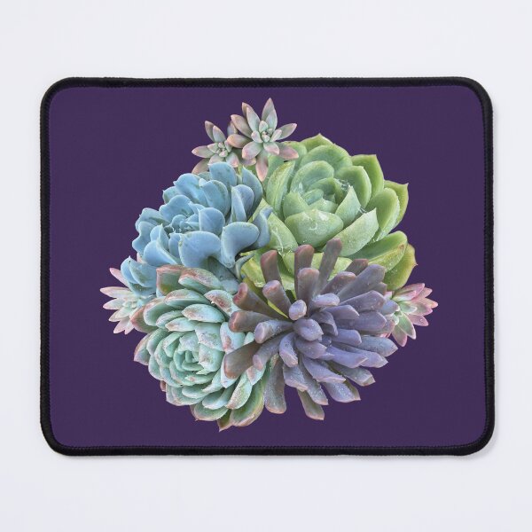 Item preview, Colourful succulent arrangement designed and sold by Poplartree.