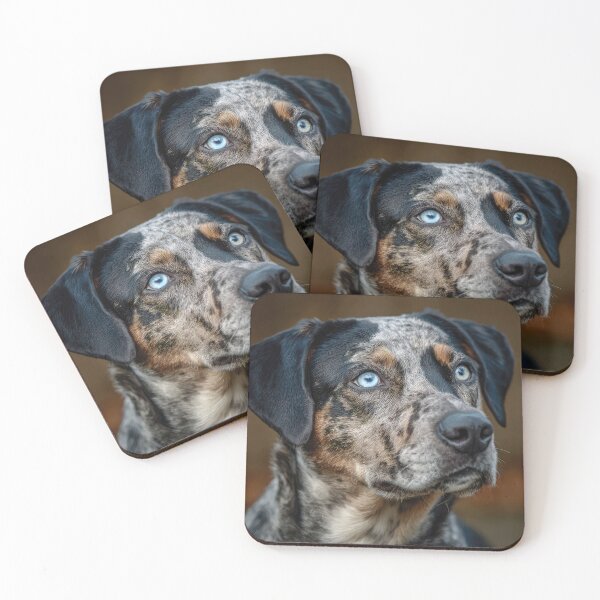 Item preview, Catahoula Leopard Dog Portrait designed and sold by Elisabeth Lucas.