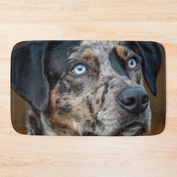Item preview, Catahoula Leopard Dog Portrait designed and sold by Elisabeth Lucas.