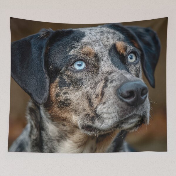 Item preview, Catahoula Leopard Dog Portrait designed and sold by Elisabeth Lucas.