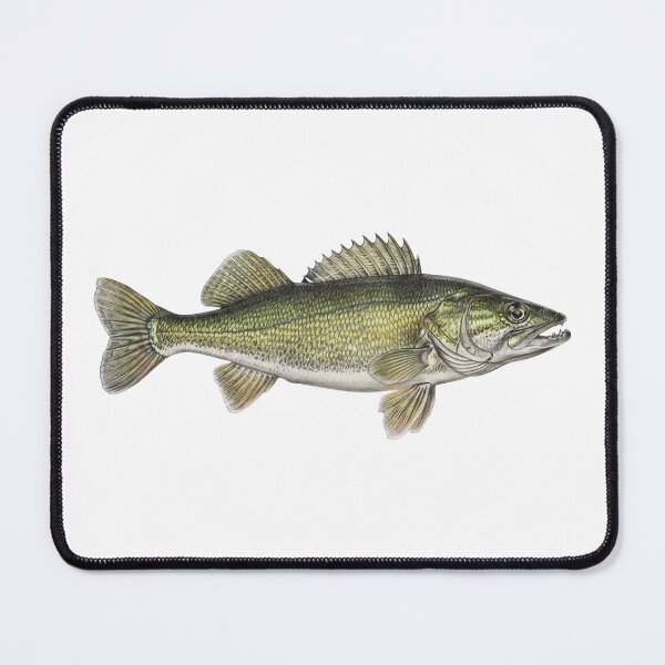 Item preview, Walleye/Pickerel designed and sold by Fish Town.