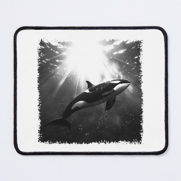 Item preview, Orca in Sunbeams – Black and White Killer Whale Ocean Photography designed and sold by inkoutninja.