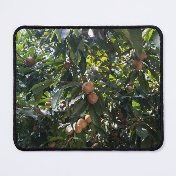 Item preview, Chico Fruits designed and sold by ROSE ANN BANILAR.