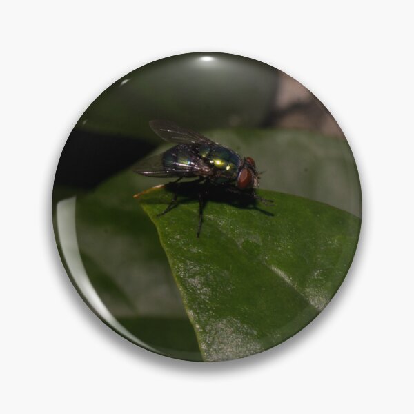 Item preview, green bottle fly designed and sold by ROSE ANN BANILAR.