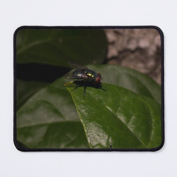 Item preview, green bottle fly designed and sold by ROSE ANN BANILAR.