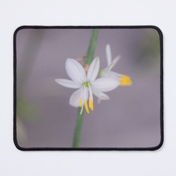 Item preview, Ribbon Plant designed and sold by ROSE ANN BANILAR.