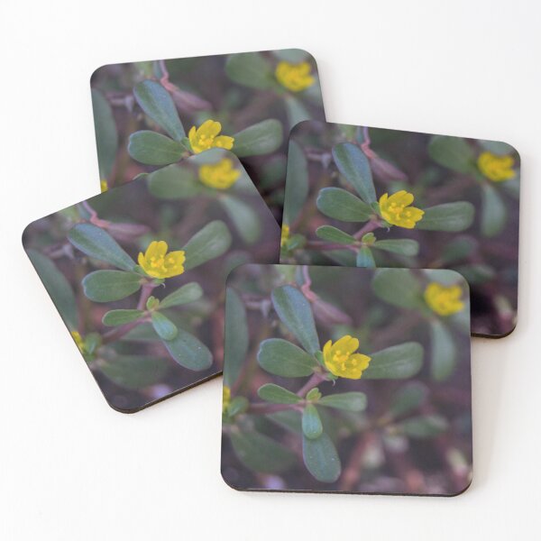 Item preview, purslane plant designed and sold by ROSE ANN BANILAR.