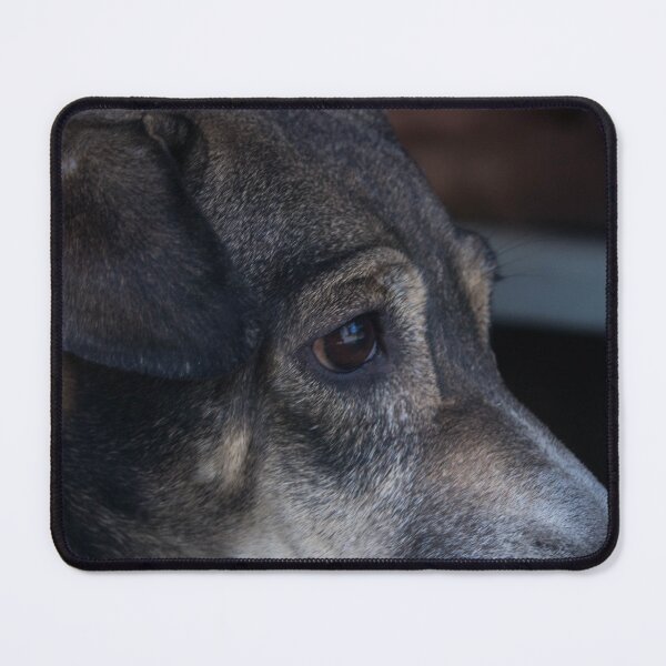 Item preview, Caring Dog designed and sold by ROSE ANN BANILAR.