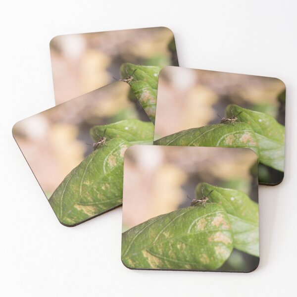 Item preview, Saptha divitiosa moth designed and sold by ROSE ANN BANILAR.