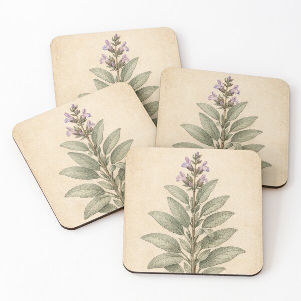 Item preview, Vintage Sage Botanical Print - Salvia Officinalis Antique Herb Wall Art designed and sold by Darlin8888.