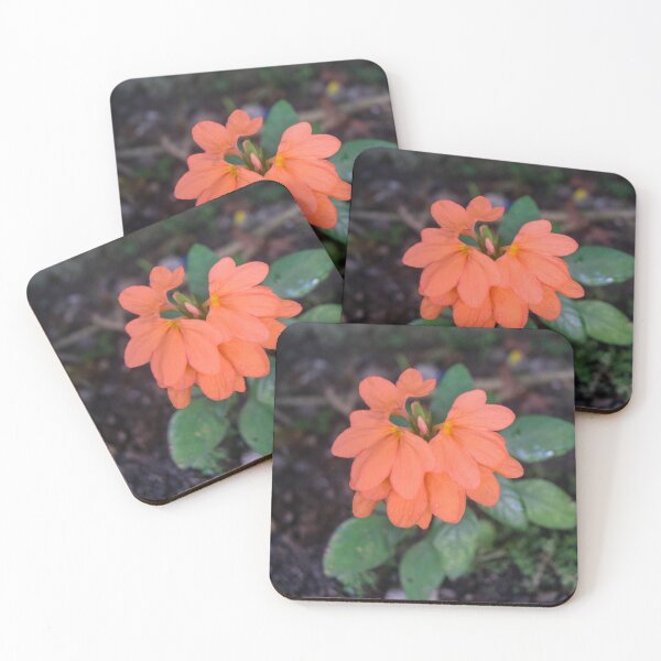 Item preview, firecracker flower designed and sold by ROSE ANN BANILAR.