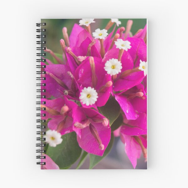 Item preview, Bunch of Bougainvillea Flowers designed and sold by ROSE ANN BANILAR.