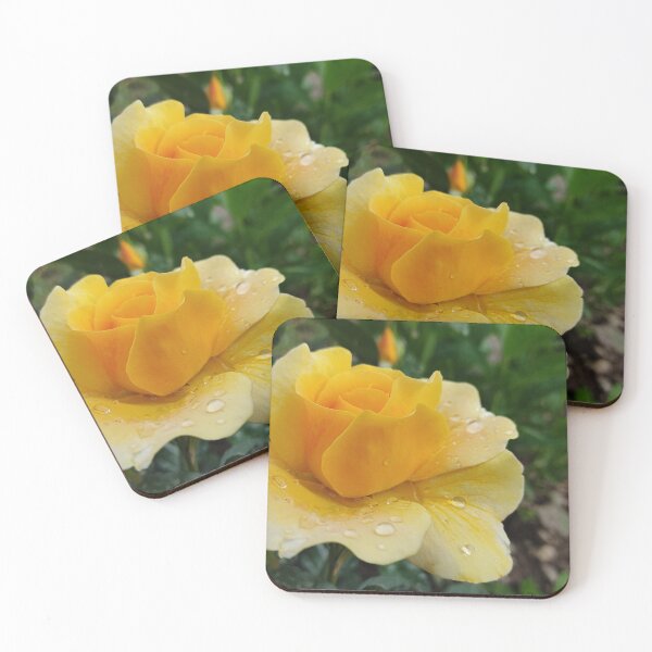 Item preview, Beautiful Yellow Rose Flower From The Garden Digital Photography Art designed and sold by vtspatial.