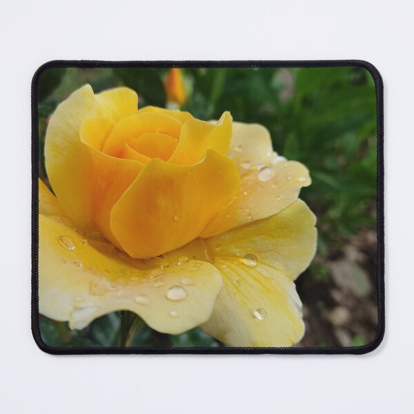 Item preview, Beautiful Yellow Rose Flower From The Garden Digital Photography Art designed and sold by vtspatial.