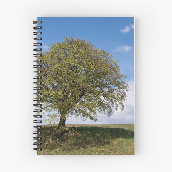Item preview, Springing in to Life  designed and sold by Kasia Design.