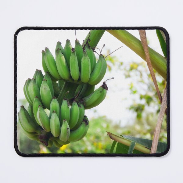 Item preview, Vietnam: Bananas designed and sold by Kasia Design.