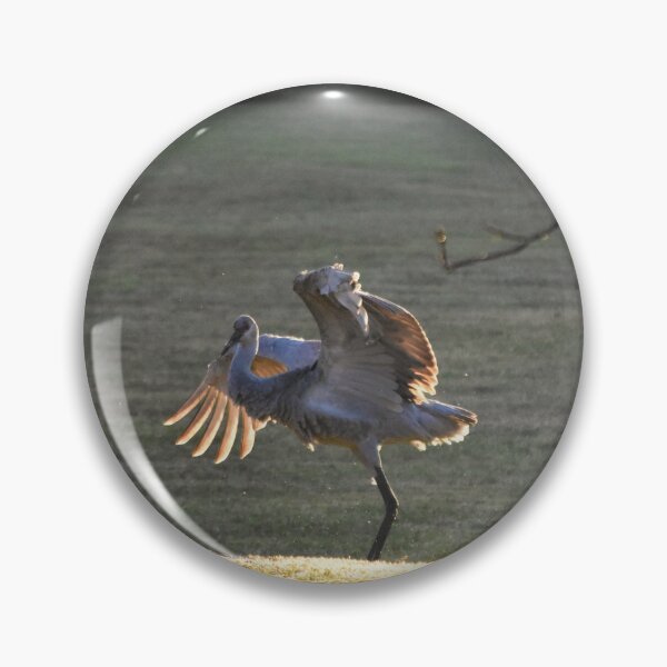 Item preview, Cranes Dancing in the Sunrise designed and sold by MercerImages.
