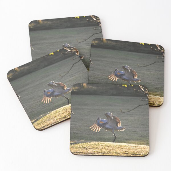 Item preview, Cranes Dancing in the Sunrise designed and sold by MercerImages.