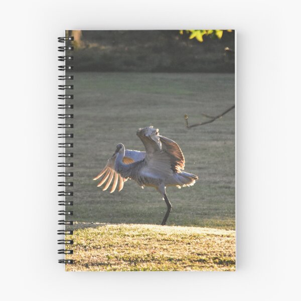 Item preview, Cranes Dancing in the Sunrise designed and sold by MercerImages.