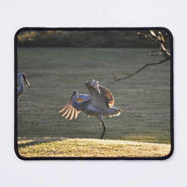 Item preview, Cranes Dancing in the Sunrise designed and sold by MercerImages.