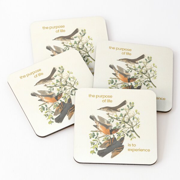 Item preview, the purpose of life is to experience designed and sold by gfsaint.