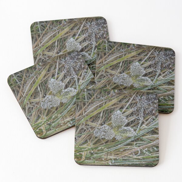 Item preview, Frosted Morning Clover and Winter Grass designed and sold by ShotsbyDesiree.