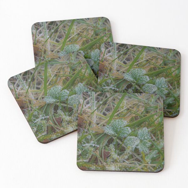 Item preview, Crystalline Frost on Green Clover and Wild Grass designed and sold by ShotsbyDesiree.