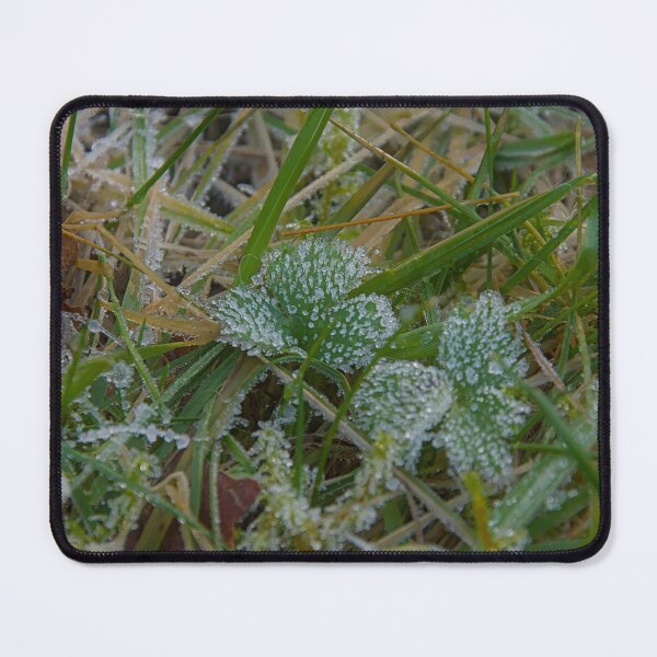 Item preview, Crystalline Frost on Green Clover and Wild Grass designed and sold by ShotsbyDesiree.