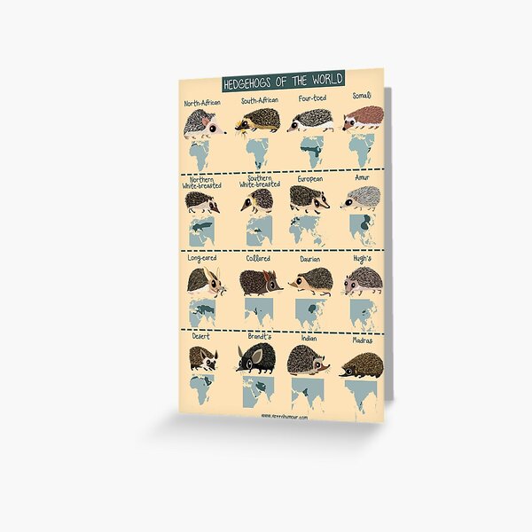 Hedgehogs of the World Greeting Card
