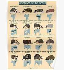 Igel der Welt Poster