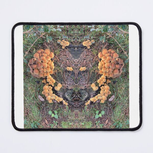 Item preview, Funghi  designed and sold by FotografaTribale.