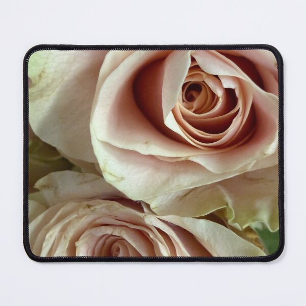 Item preview, Quiet Admiration designed and sold by Betsy Phillips.
