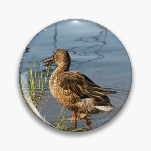 Item preview, Shy Shoveler Looking Away designed and sold by Debra Martz.